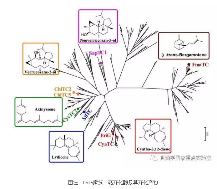 圖片關鍵詞 圖片關鍵詞
