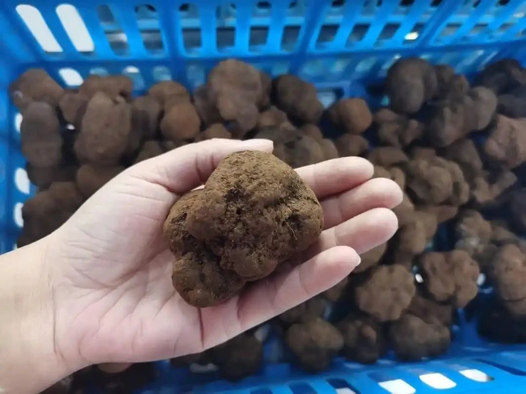 圖片關鍵詞