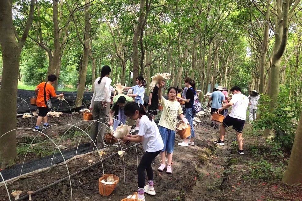 圖片關鍵詞
