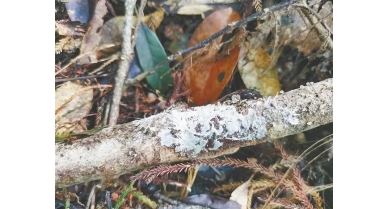 行業動態