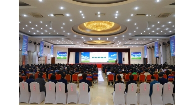 專題報(bào)道